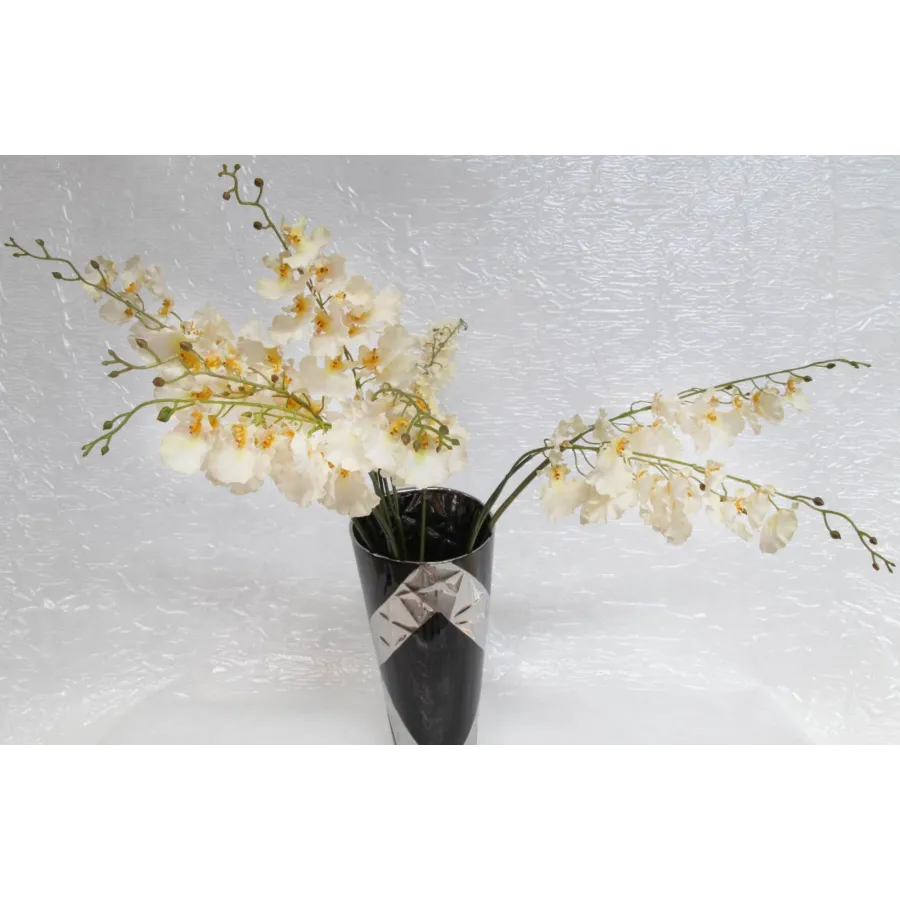 ONCIDIUM SPRAY 37'' CM ... MIN 12  